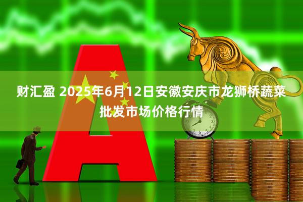 财汇盈 2025年6月12日安徽安庆市龙狮桥蔬菜批发市场价格行情