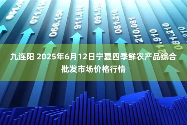 九连阳 2025年6月12日宁夏四季鲜农产品综合批发市场价格行情