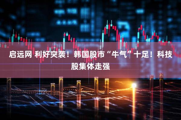 启远网 利好突袭！韩国股市“牛气”十足！科技股集体走强