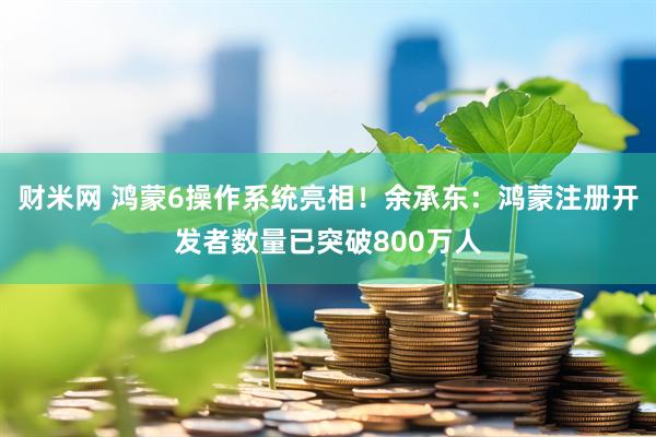 财米网 鸿蒙6操作系统亮相！余承东：鸿蒙注册开发者数量已突破800万人