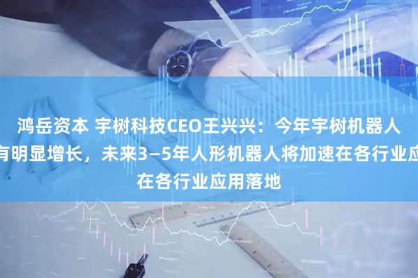 鸿岳资本 宇树科技CEO王兴兴：今年宇树机器人出货量有明显增长，未来3—5年人形机器人将加速在各行业应用落地