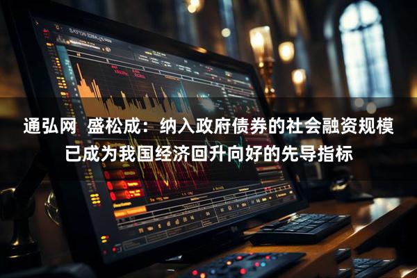 通弘网  盛松成：纳入政府债券的社会融资规模已成为我国经济回升向好的先导指标