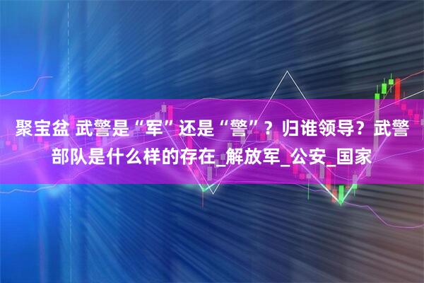 聚宝盆 武警是“军”还是“警”？归谁领导？武警部队是什么样的存在_解放军_公安_国家