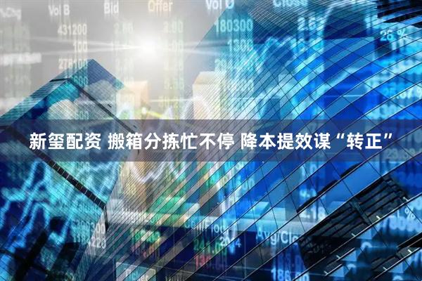 新玺配资 搬箱分拣忙不停 降本提效谋“转正”