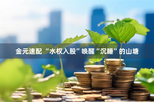金元速配 “水权入股”唤醒“沉睡”的山塘